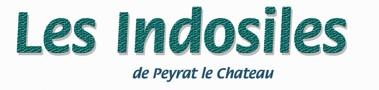 Logo les indosiles