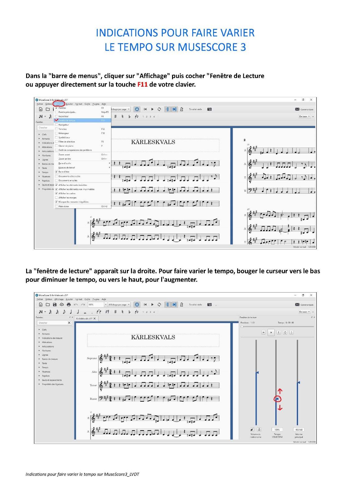Variation tempo musescore3